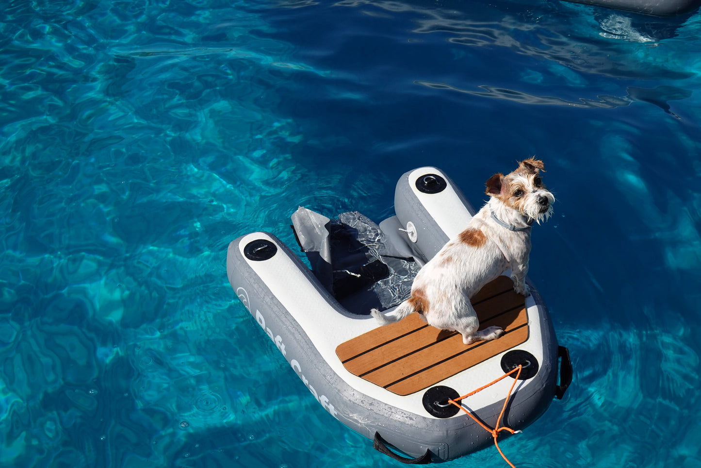 RCD101 dog ramp from above, showing the horseshoe shape and submerged boarding sling