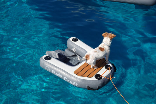 Raft Craft RCD101 small dog ramp on clear turquoise water beside a yacht