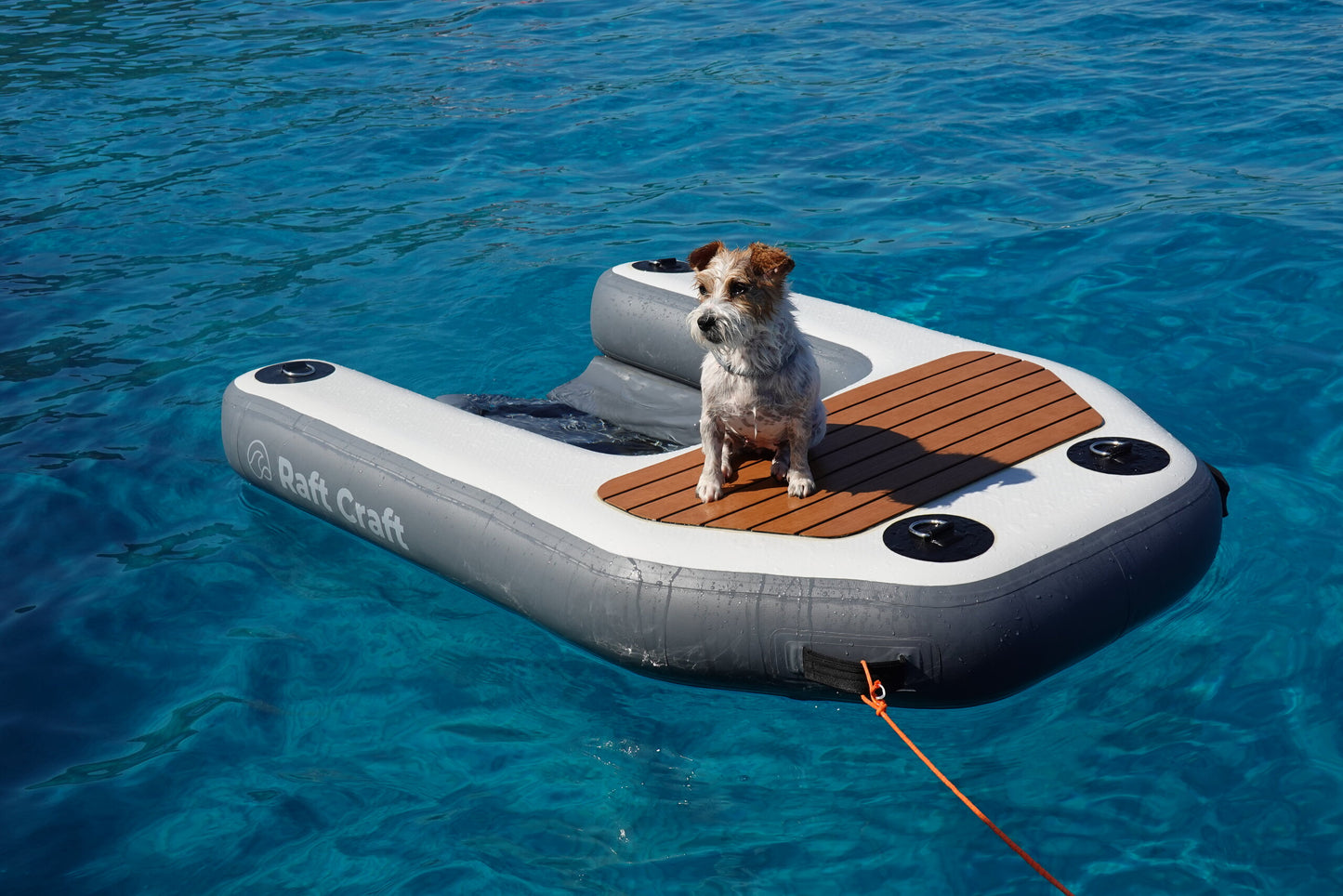 RCD102 dog ramp with a terrier sitting on the teak-effect tread panel