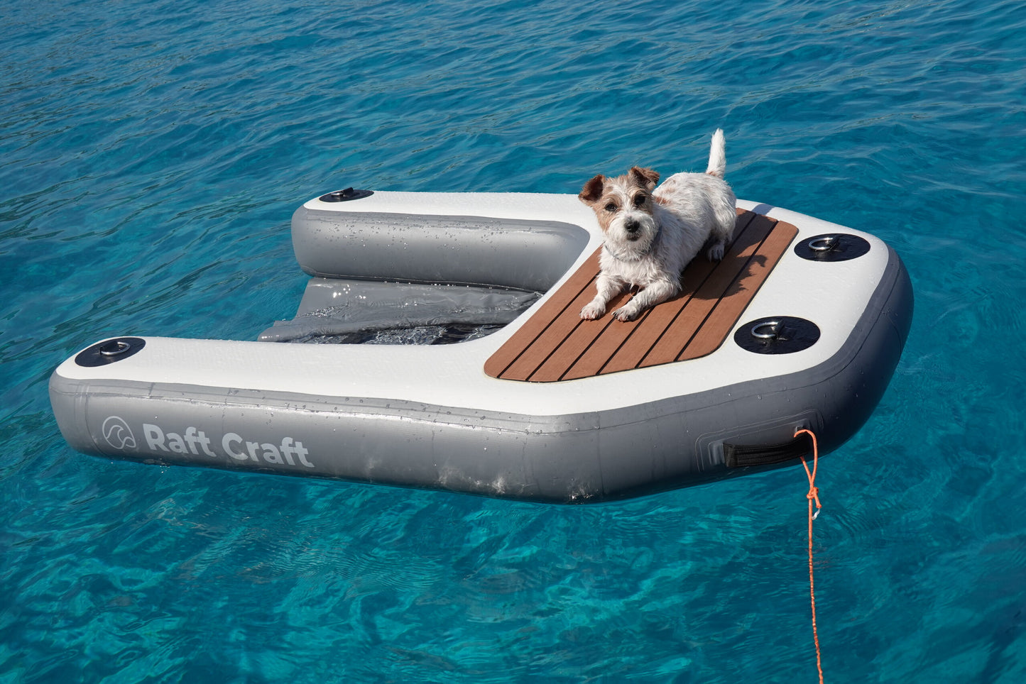 RCD102 dog ramp from above showing the submerged boarding sling inside the horseshoe