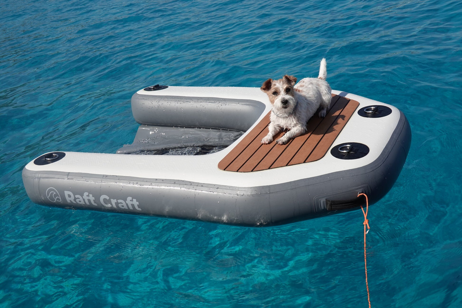 RCD102 dog ramp from above showing the submerged boarding sling inside the horseshoe
