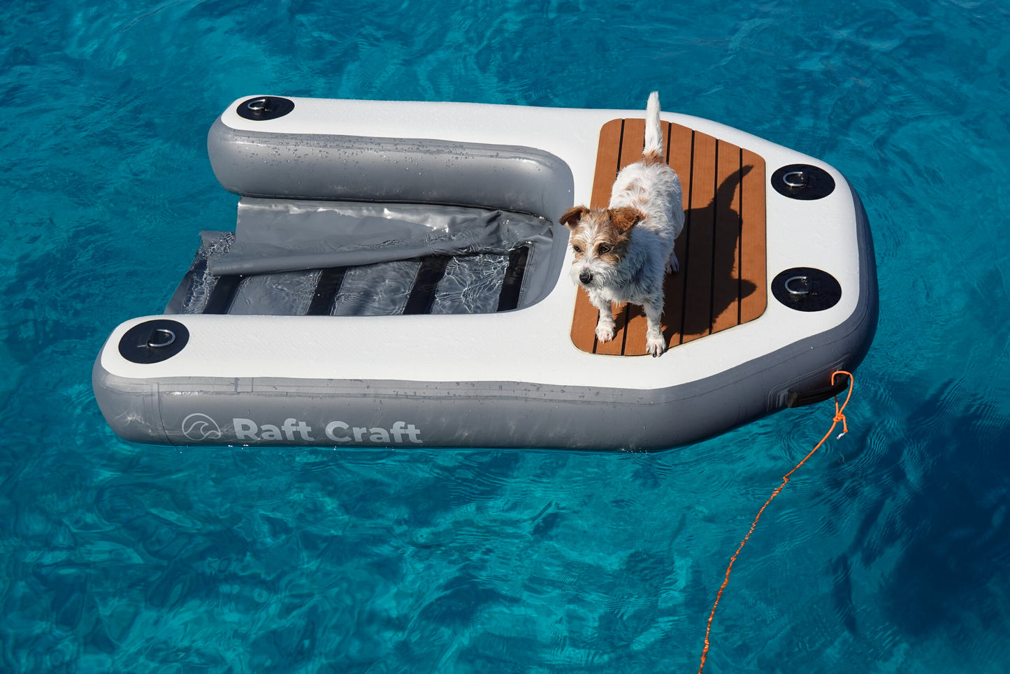 RCD102 dog ramp, full product in frame on turquoise water