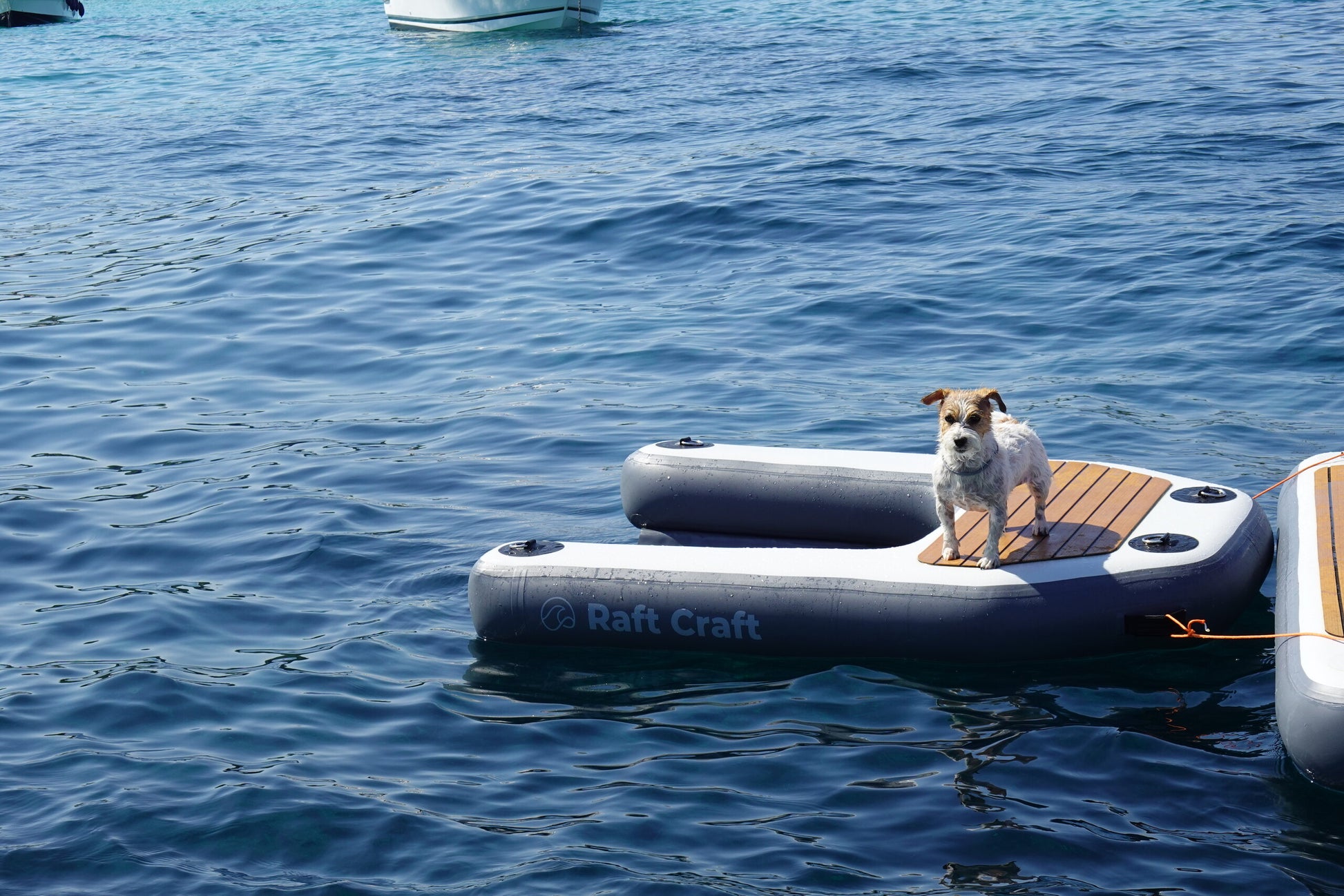 RCD102 dog ramp alongside a floating dock, showing relative scale